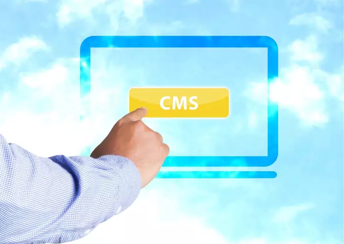 Headless CMS